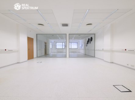 Pronájem kanceláře, 219 m²