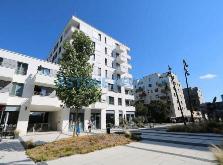 Pronájem bytu, 2+kk, 55 m²