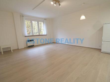 Pronájem bytu, 1+kk, 45 m²