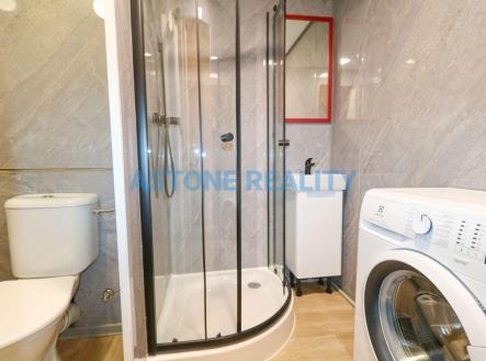 Pronájem bytu, 1+kk, 39 m²