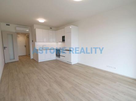 Pronájem bytu, 1+kk, 43 m²