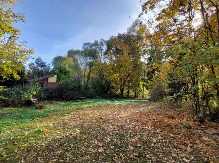 Prodej pozemku pro bydlení, 1 126 m²