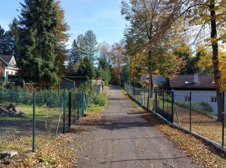 Podzim 2024 - foto před vykácením