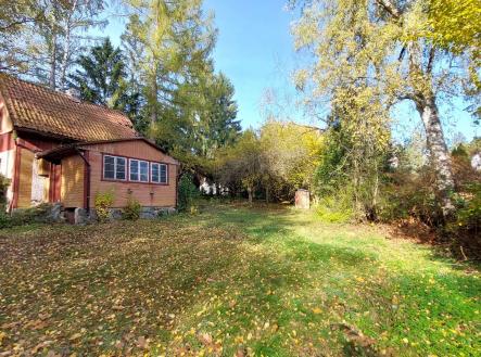 Podzim 2024 - foto před vykácením