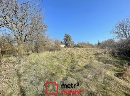 Prodej - pozemek, zahrada, 2 493 m²