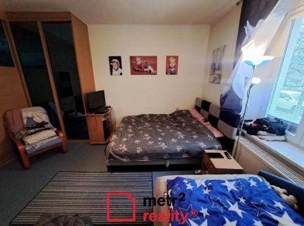 Pronájem bytu, 1+1, 53 m²