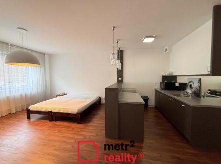 Pronájem bytu, 1+kk, 45 m²