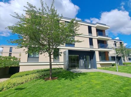 Pronájem bytu, 3+kk, 206 m²