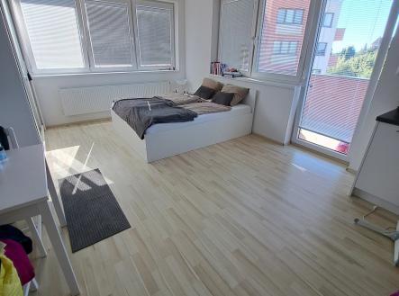 Pronájem bytu, 1+kk, 35 m²