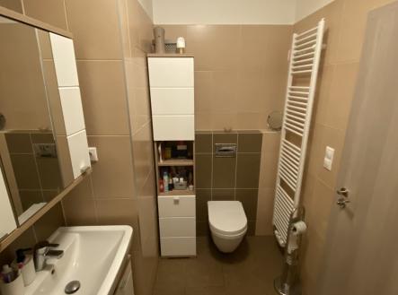 Pronájem bytu, 1+kk, 35 m²