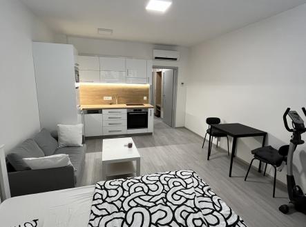 Pronájem bytu, 1+kk, 3 m²