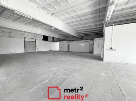Pronájem obchodní prostory, 300 m²