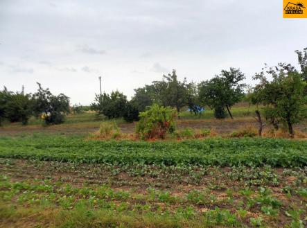 Prodej - pozemek, zemědělská půda, 935 m² obrázek