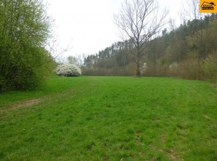 Prodej - pozemek, trvalý travní porost, 4 250 m²