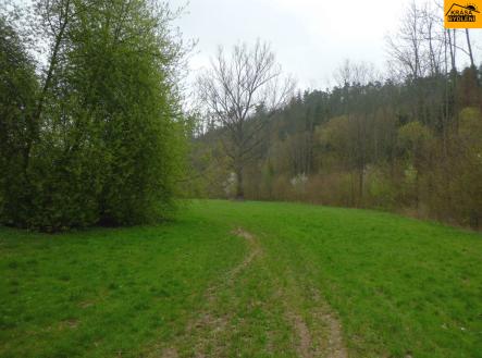 Prodej - pozemek, trvalý travní porost, 4 250 m²