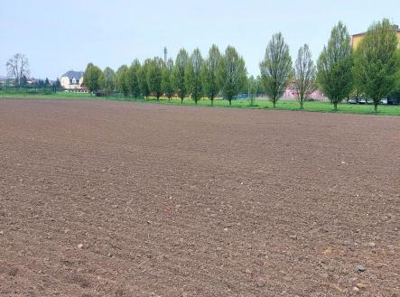 Prodej pozemku pro komerční výstavbu, 2 771 m²