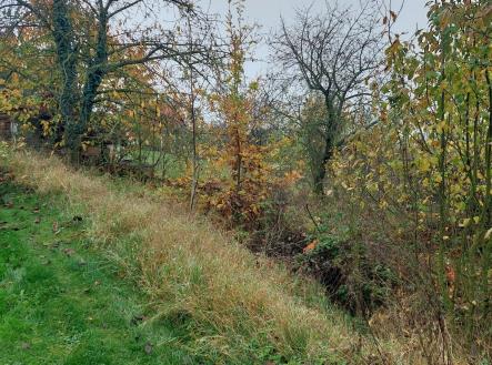 Pronájem pozemku, zahrada, 380 m²