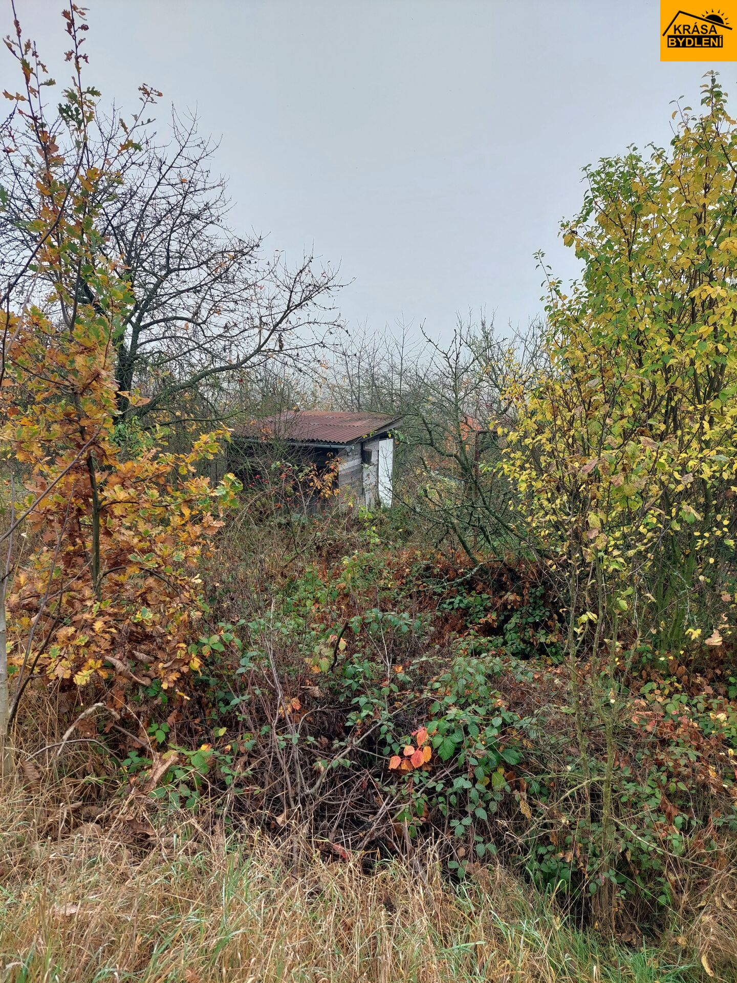 Pronájem zahrady v Samotiškách