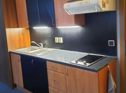 Pronájem bytu, 1+kk, 42 m² obrázek