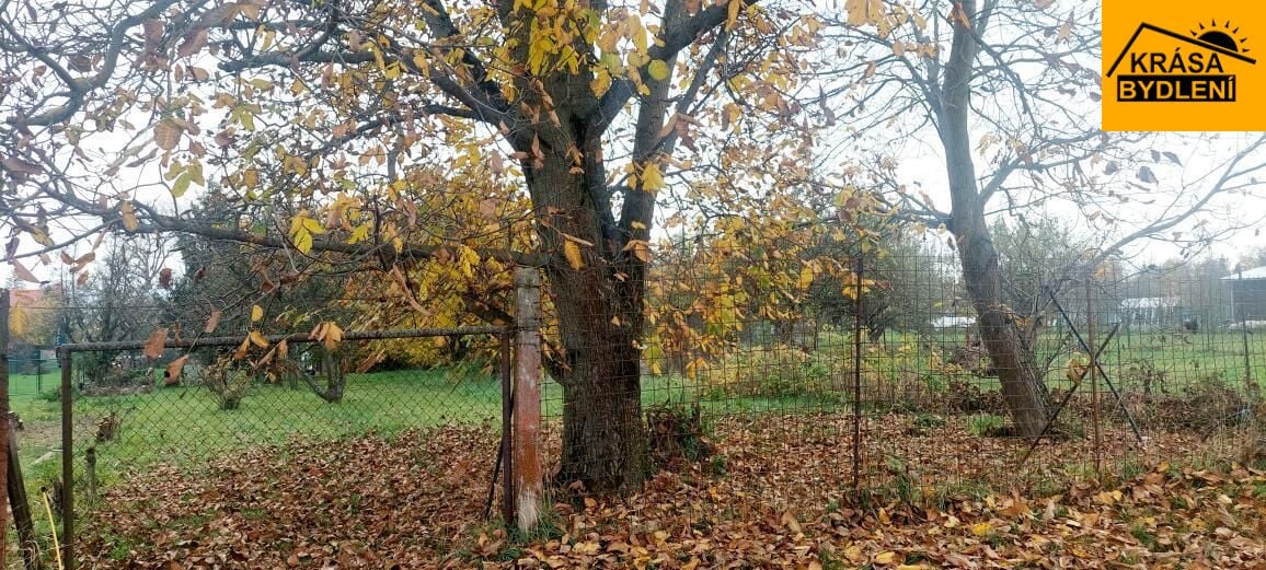 Prodej pozemku v Olomouci, Týneček