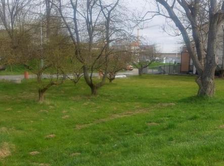 Pronájem - pozemek, zahrada, 390 m²