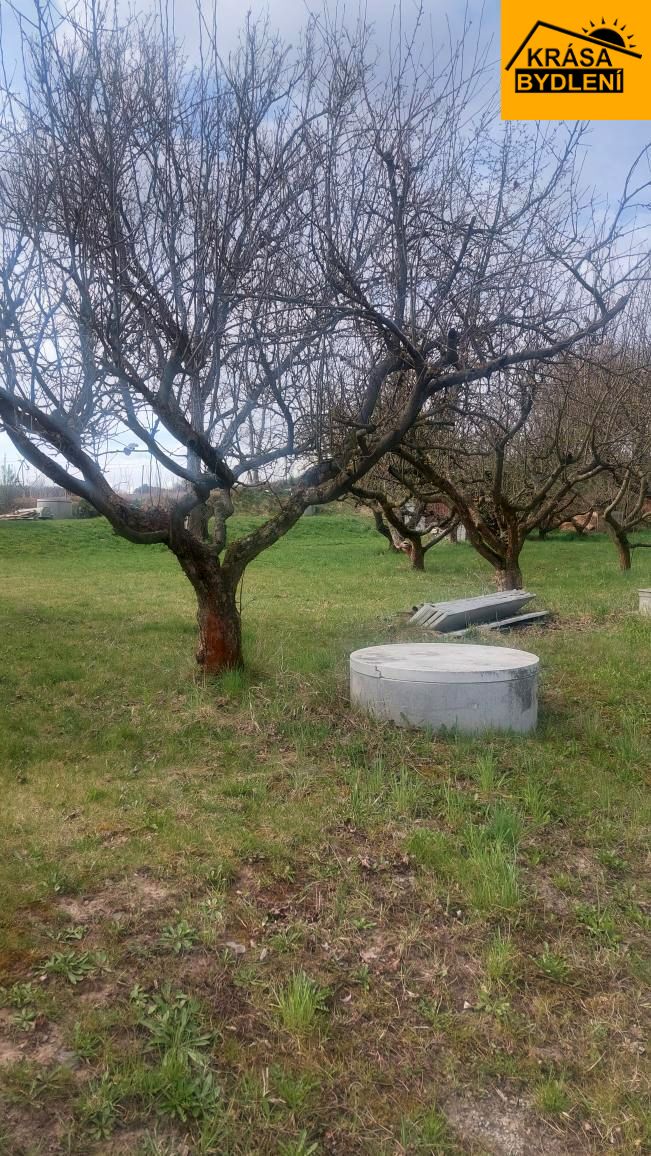 Pronájem zahrady v Olomouci, Slavonín
