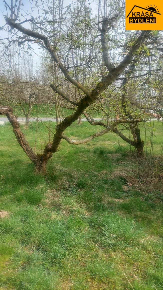 Pronájem zahrady v Olomouci, Slavonín