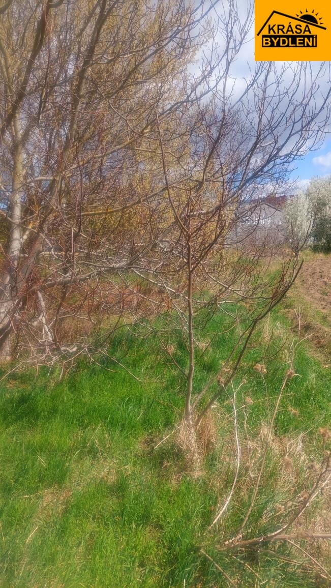 Pronájem zahrady v Olomouci, Povel