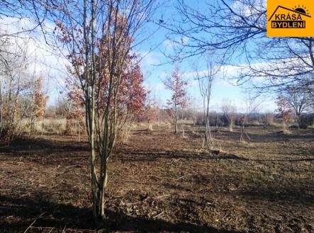 Prodej pozemku, zahrada, 470 m²