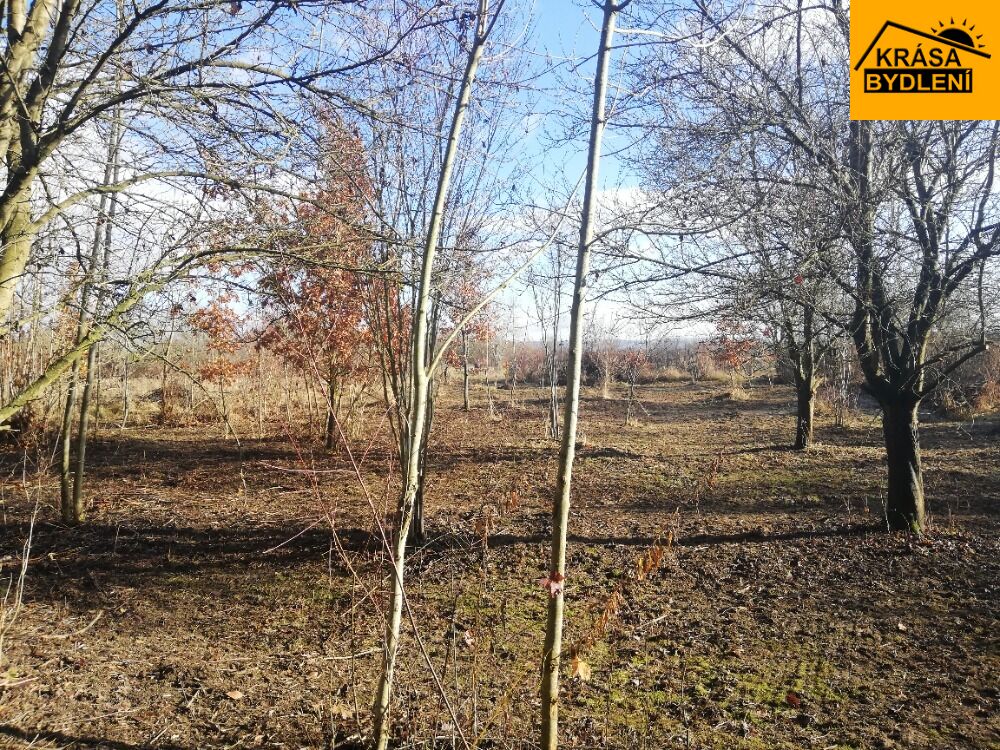 Prodej pozemku v Olomouci, Řepčíně