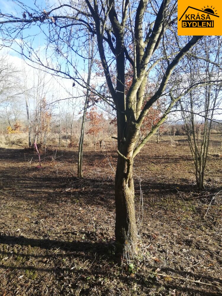 Prodej pozemku v Olomouci, Řepčíně