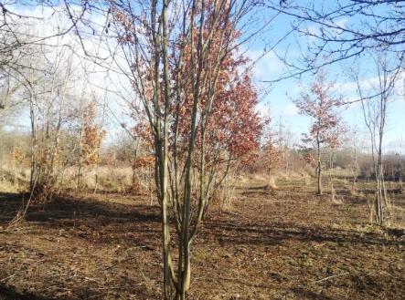 Prodej pozemku, zahrada, 470 m²