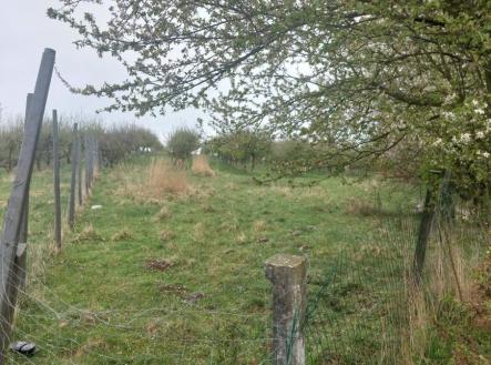 Prodej pozemku, ostatní, 9 766 m²