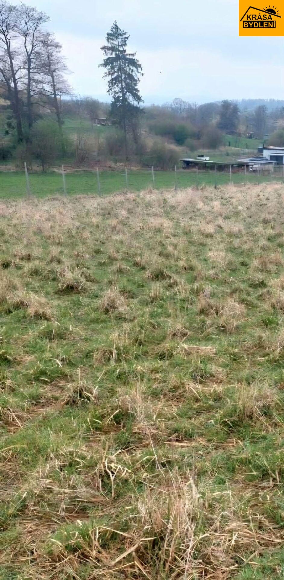 Prodej pozemku v Polomi