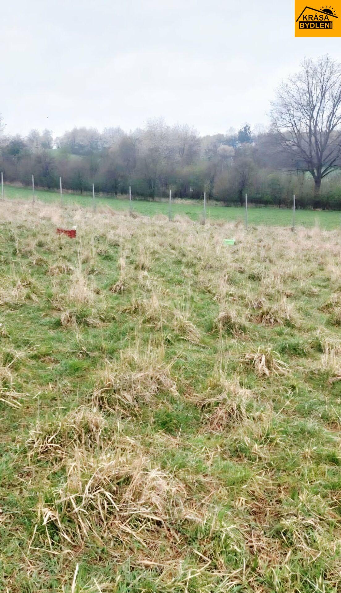 Prodej pozemku v Polomi