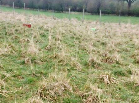 Prodej pozemku, trvalý travní porost, 3 371 m²