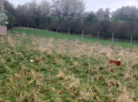 Prodej pozemku, trvalý travní porost, 3 371 m²