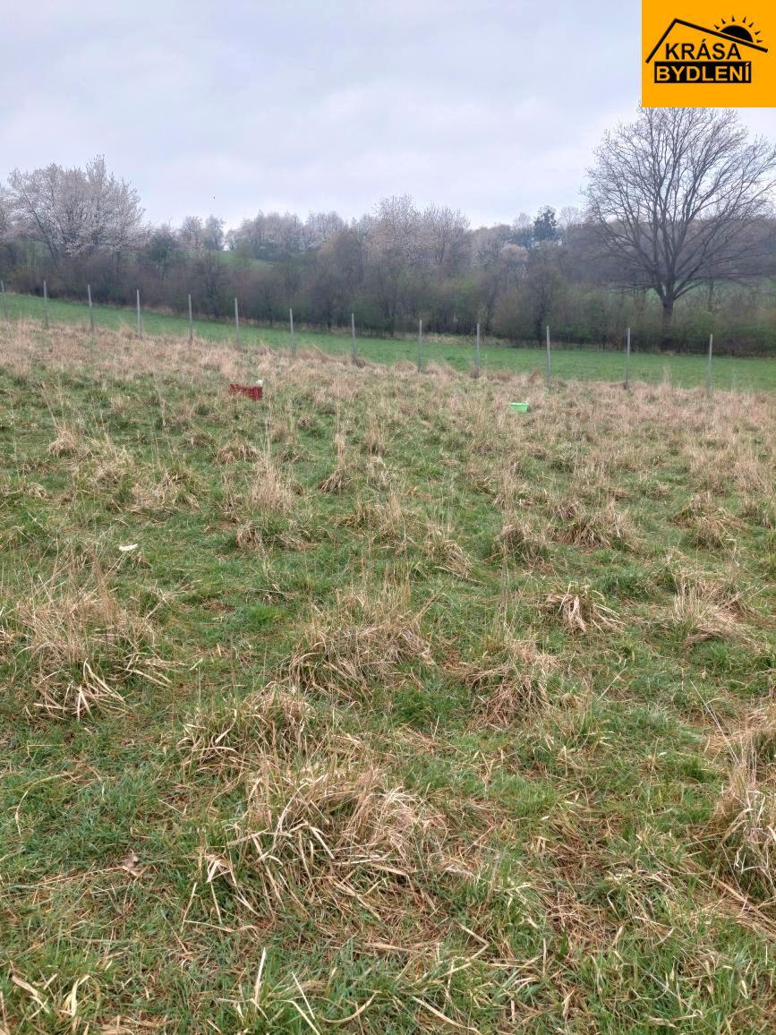 Prodej stavebních pozemků v Polomi