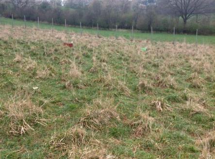 Prodej pozemku pro bydlení, 5 462 m²