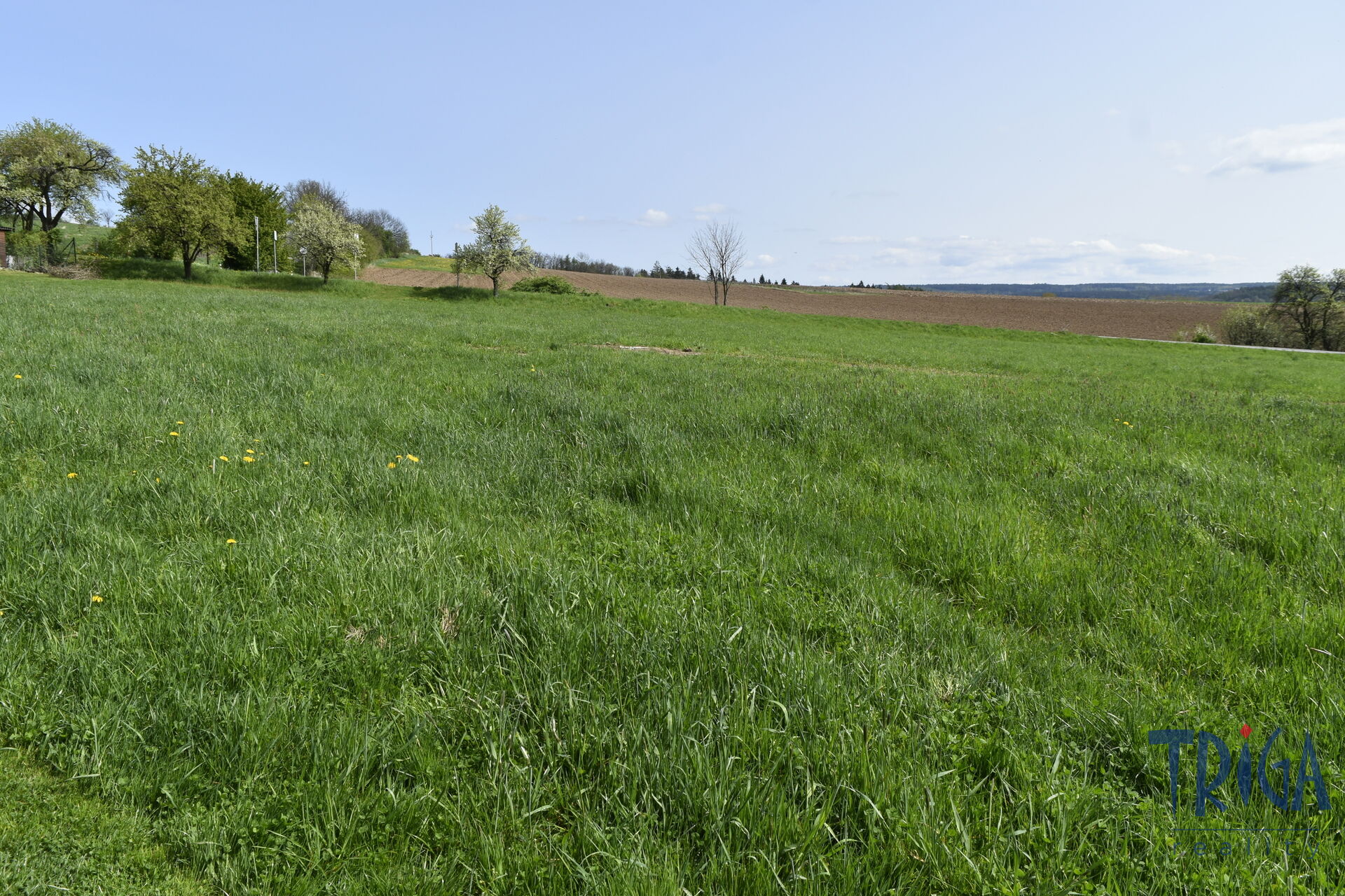 Žernov u České Skalice - prodej stavebního pozemku o výměře 1216 m2