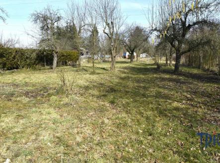 Prodej - pozemek, zahrada, 2 736 m²