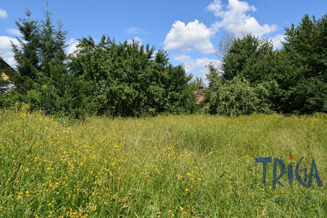 Jičín - Pozemek s možností výstavby v obci Hubálov u Jičína