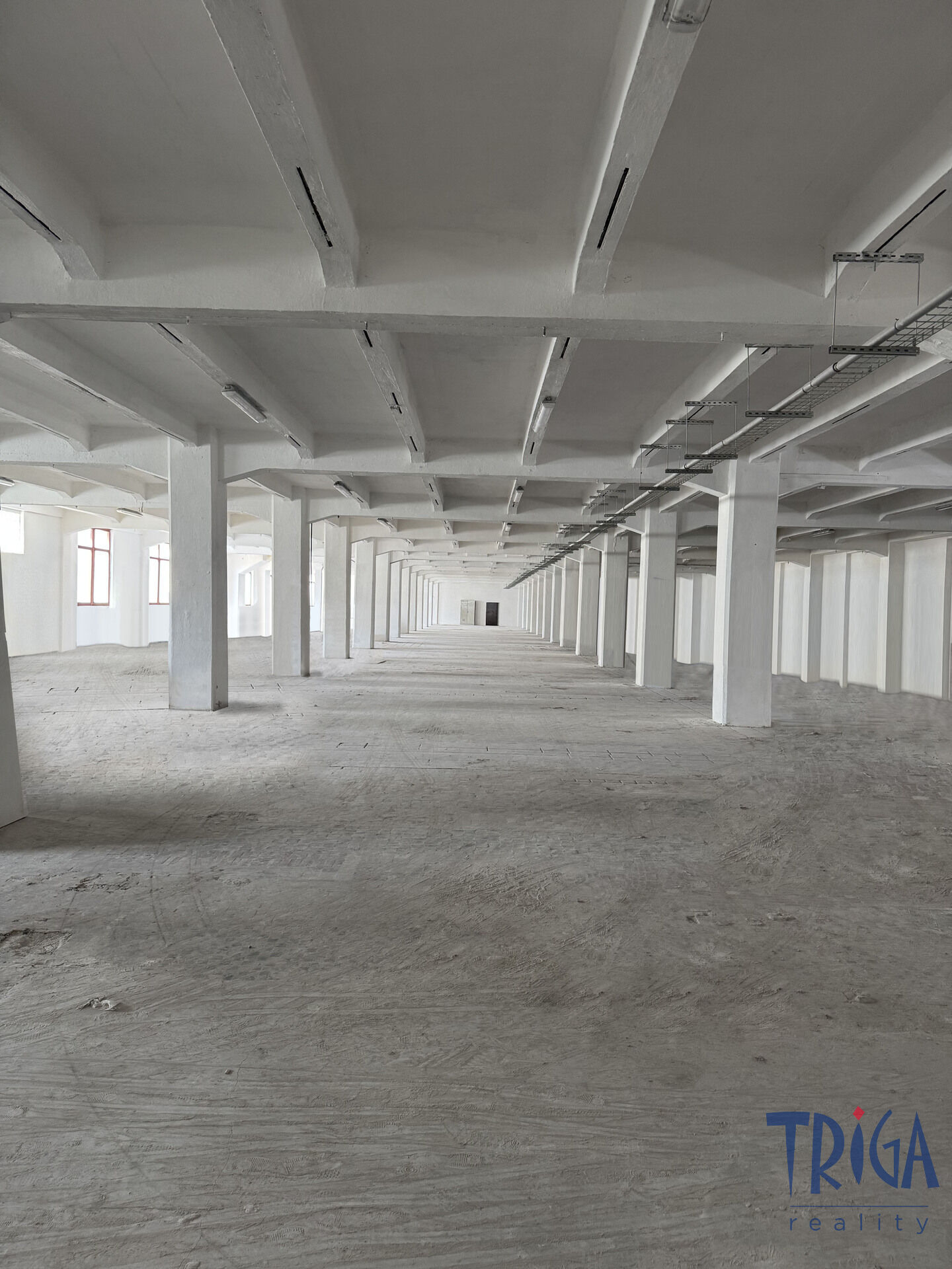 Jaroměř - Pronájem skladovacích prostor 1 706 m2