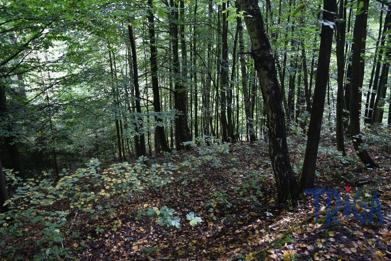 Suchovršice - Ucelený soubor pozemků