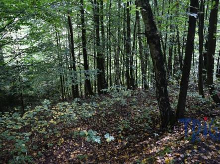 Prodej pozemku, ostatní, 13 052 m²