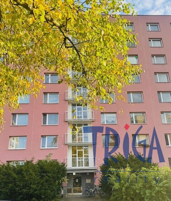 Jaroměř - Družstevní byt 3+1 s lodžií ve strategické lokalitě