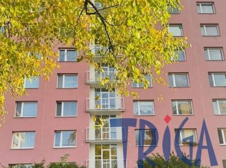 Prodej bytu, 3+1, 74 m²