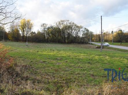 Prodej pozemku pro bydlení, 2 398 m²