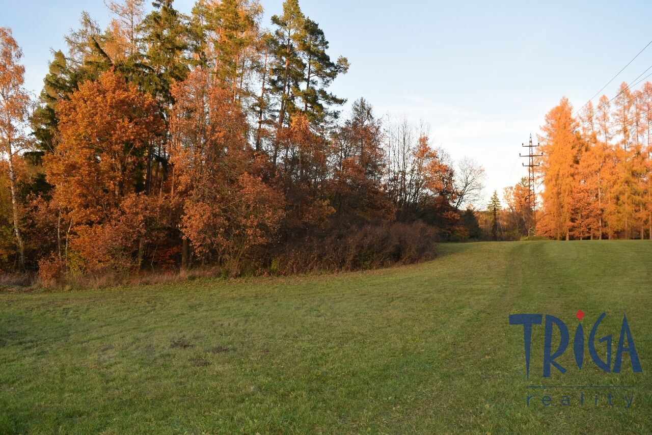 Bílá Třemešná - Pozemek nedaleko od přehrady Les Království