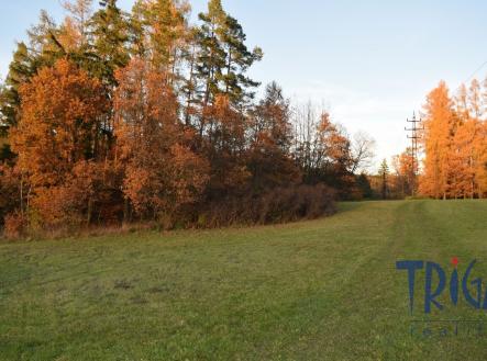 Prodej pozemku, trvalý travní porost, 1 033 m²